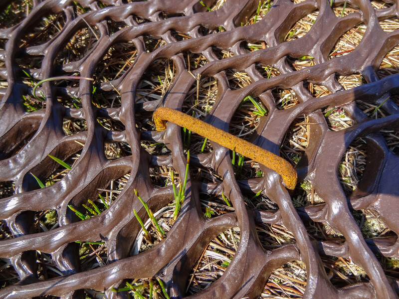 Plastic path to Bloodstone Hill