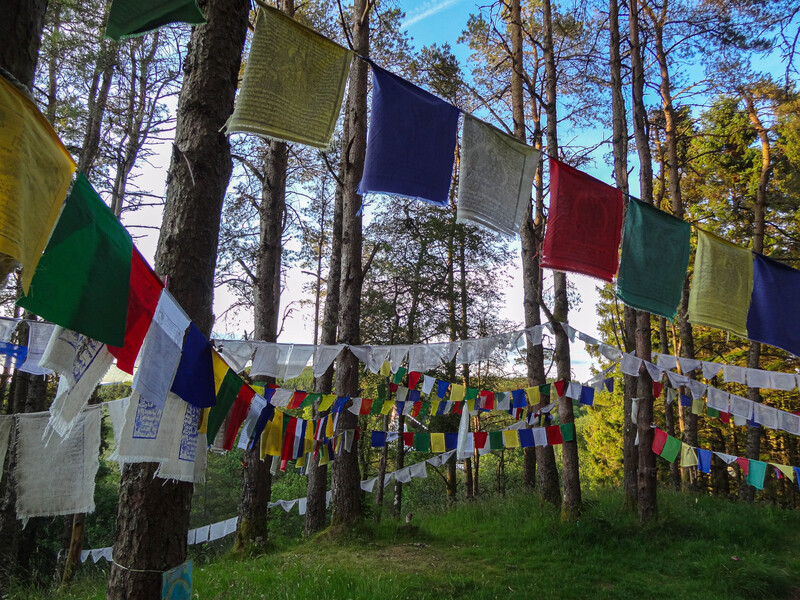Preayer flags on The Fairy Hill at Samye Ling