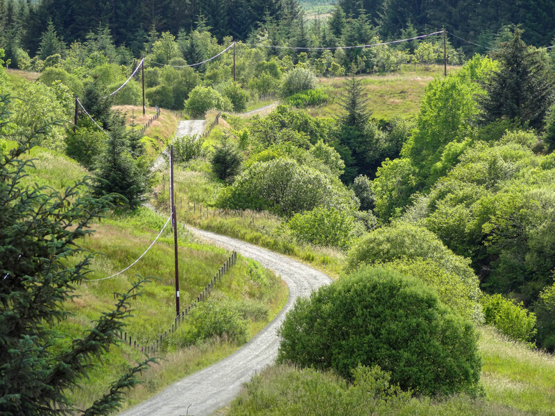 The Annandale Way near Samye Ling