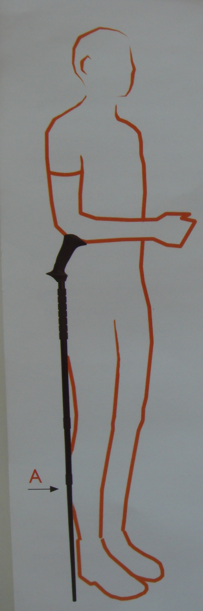 How to set up a Pacerpole