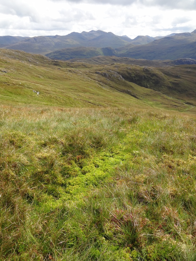 One of the numerable springs in Glas Choire to the east of Sguman Coinntich