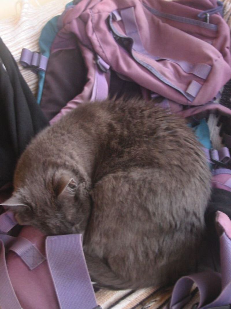 Mrs Tiny Caio on the rucksack