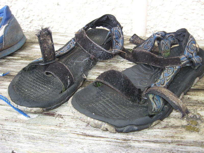Teva sandals