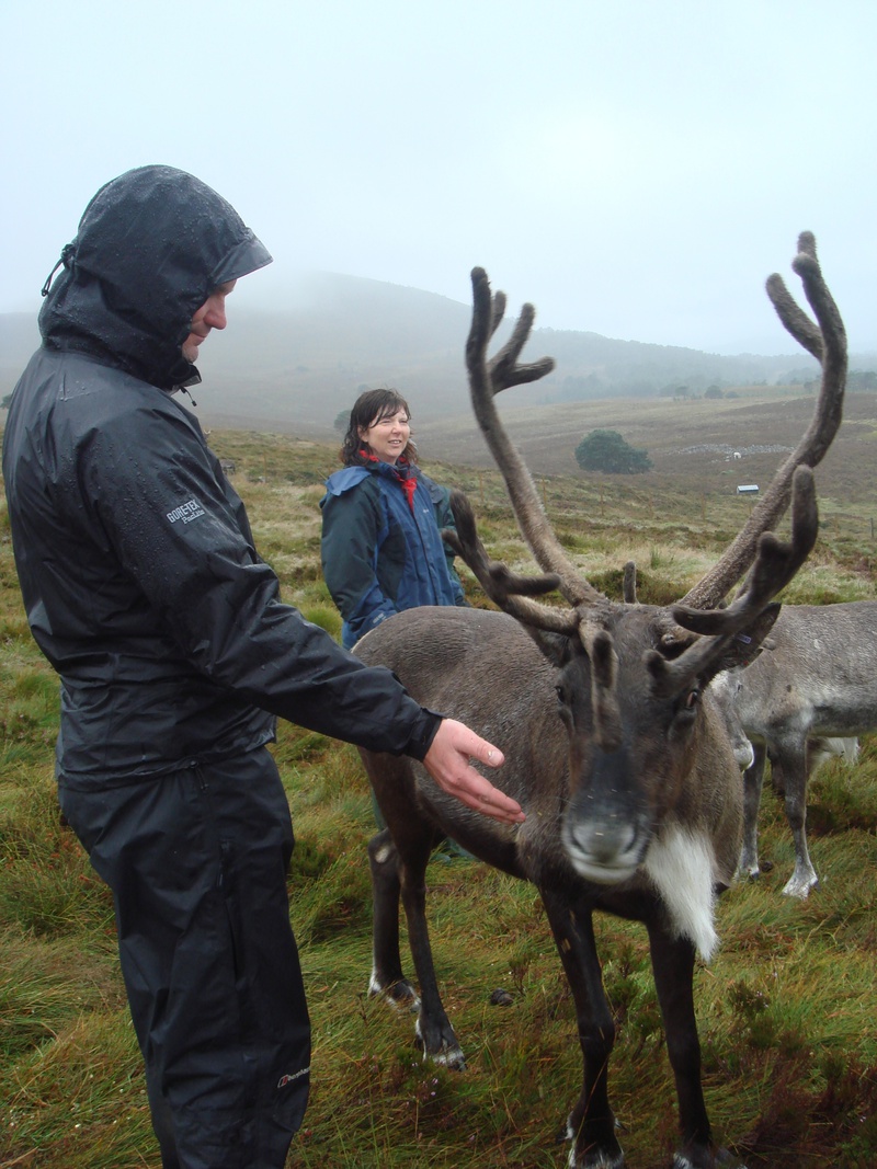 Feeding time at the reindeer station