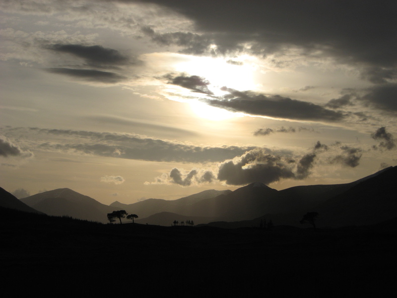 Evening sunlight to the west along Abhainn Shira